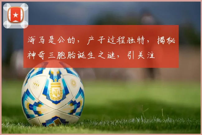 海马是公的，产子过程独特，揭秘神奇三胞胎诞生之谜，引关注