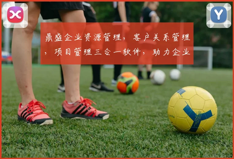 鼎盛企业资源管理，客户关系管理，项目管理三合一软件，助力企业高效运营